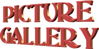 Picture Gallery