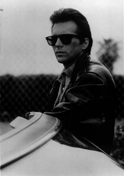 sting5